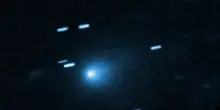 Il viaggio della cometa 31/atlas nel Sistema solare