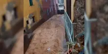 Maltempo in Toscana: forti piogge sull'Elba, esondati 2 fossi