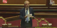 Senato, il question time con Matteo Salvini e Adolfo Urso - diretta