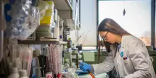 Per ricerca contro il cancro 2,5 miliardi in 7 anni, il 45% ad Airc