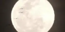 Superluna d’ottobre incanta il Sud America: bagliori d’argento su Rio e Bogotà