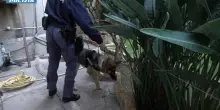 Tre neonati partoriti e soffocati: giovane donna arrestata a Reggio Calabria