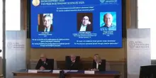 Nobel per l’Economia, l'annuncio: premiata la teoria della crescita attraverso l’innovazione