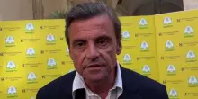 Calenda vs Cattaneo. Il senatore: "Enel fa più utili di Hermes". L'altro: "Lui parla, io lavoro"