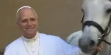Vaticano, donato a Papa Leone un cavallo bianco di pura razza araba