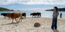 “La vita va così”: la Sardegna e la forza del no