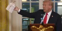 Trump: "Ecco l'arco di trionfo di Washington". Presentati i modellini