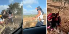 Cisgiordania, il reporter americano riprende coloni mascherati che picchiano i contadini palestinesi