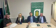 "Emergenza lupi: non bastano gli indennizzi, serve prevenzione"