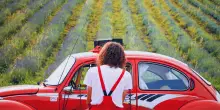 Concerti fra boschi e borghi in Emilia-Romagna: gli appuntamenti