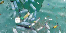 Lotta alla plastica, ecco gli ecocompattatori