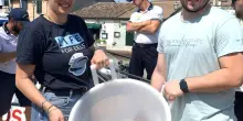Il lungo viaggio delle anguille. Migliaia saranno liberate in mare