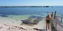 Alga tossica al Passetto, si può fare il bagno? Pesce e frutti di mare, si possono mangiare? L’ordinanza