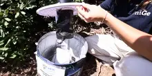 Allarme West Nile: muore a 81 anni dopo essere stata colpita dal virus