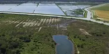 Riserva naturale Ortazzo-Ortazzino: la Regione investe 200mila euro