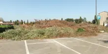 Sfalci e rifiuti abbandonati. Sanzionate venti persone