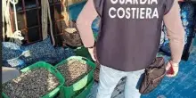 Maxi operazione. Sequestrate 15 tonnellate di prodotto ittico