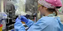 Irst, è arrivata la conferma: resta Irccs. De Pascale: "Eccellenza che crescerà ancora"
