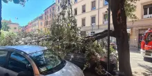 Ramo distrugge un’auto, tragedia sfiorata a Bologna