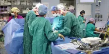 Curato a distanza morì di Covid. Il medico a processo per omissione: "Non voleva essere ricoverato"
