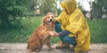 Meteo Emilia-Romagna, perché continua l’allerta gialla: previsioni del weekend