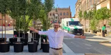 Alberi nelle piazze a Bologna, un altro esposto