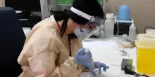 Virus e influenza in arrivo: "Ora il Covid non fa paura. Ma dobbiamo tutelare i fragili"