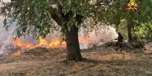 Jesi, pomeriggio di fuoco: fiamme dietro il mercato ortofrutticolo e in altre tre zone