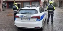 Cane precipita dal balcone e muore sul colpo