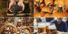 Emilia Romagna, tante feste e sagre nel weekend: eventi da leccarsi i baffi