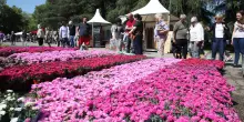 Torna ’Giardini e Terrazzi’: l’evento dedicato al verde. Boom di espositori