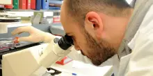 Ministero, ok vicino all’Irst. Titolo da estendere poi a tutta la rete oncologica