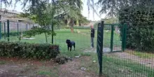 Slitta il progetto di realizzazione di nuove aree riservate agli animali