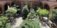 Alberi anti-caldo in centro: "È un’ottima iniziativa. Peccato sia temporanea"