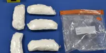 Cocaina nascosta nel bosco. Due ragazzi finiscono in manette