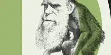 Charles Darwin finisce alla sbarra, a processo la teoria dell’evoluzione