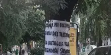 "Il bagolaro centenario sarà abbattuto domani"