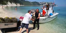 L’appello del presidio Slow Food: "Moscioli, fermate subito la pesca"