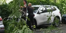 Nubifragio e forti raffiche di vento. In dieci minuti 7 millimetri di pioggia: "Il clima è la guerra da combattere"