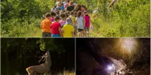 Trekking e passeggiate d'estate a Bologna e dintorni