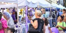 Giareda, il ricorso al Tar: "Banchi spostati e disagi"
