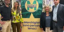 Lista ’Marchigiani per Acquaroli’: "Le nostre competenze a diposizione"