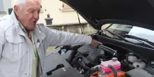 Lido di Classe, allarme topi. Cavi dell’auto rosicchiati e un turista morso: "Serve un intervento"