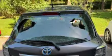 San Donnino, degrado e danni. Tre auto vandalizzate in pochi giorni: "Il Comune non ci abbandoni"