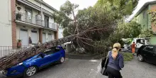 Auto schiacciate dai tronchi . Oggetti volanti dai terrazzi. La bora sferza, tragedie sfiorate