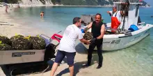 "Guerra" del mosciolo: si pesca. Portonovo dice no, Ancona va: "Qui solo cozze della Cooperativa"