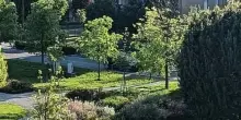 Un ‘Giardino dei Sensi’ con yoga, laboratori e attività olistiche
