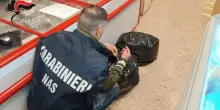 Unto e sporco, sequestrati 58 kg di alimenti e 27 kg di cibo per animali: blitz dei Nas in 2 supermercati