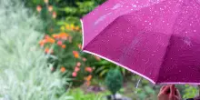 Vento forte e temporali: allerta gialla estesa in Emilia-Romagna