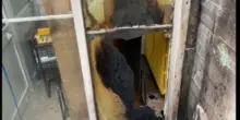 Carrello dato alle fiamme. Paura al Centro Civico